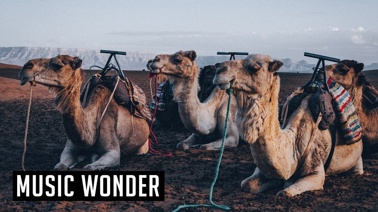 Dread Pitt - Desert Storm