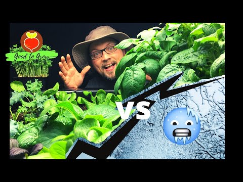 Forever Spring?! Indoor Grow Tent Vegetable Garden Tour January 2021 | Guten Yardening Grow 365!