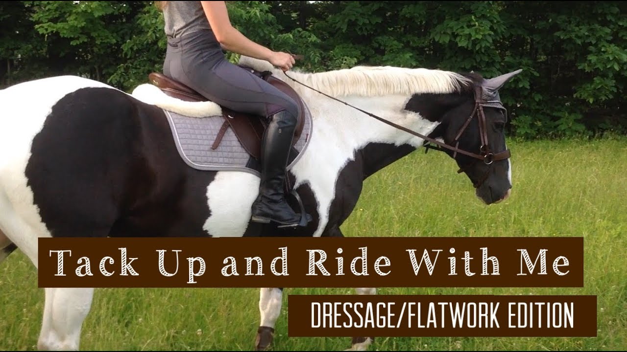 Tack Up and Ride With Me Dressage/Flatwork Edition YouTube