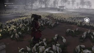 Ghost of Tsushima - Wood Spirit Straw Hat [SECRET Item Location]