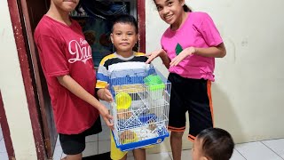 Zefa Beli Hamster Lucu