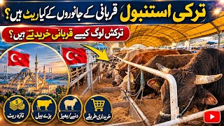 Inside Turkey’s Biggest Animal Market 🇹🇷 | Shocking Prices & Real Life 2026
