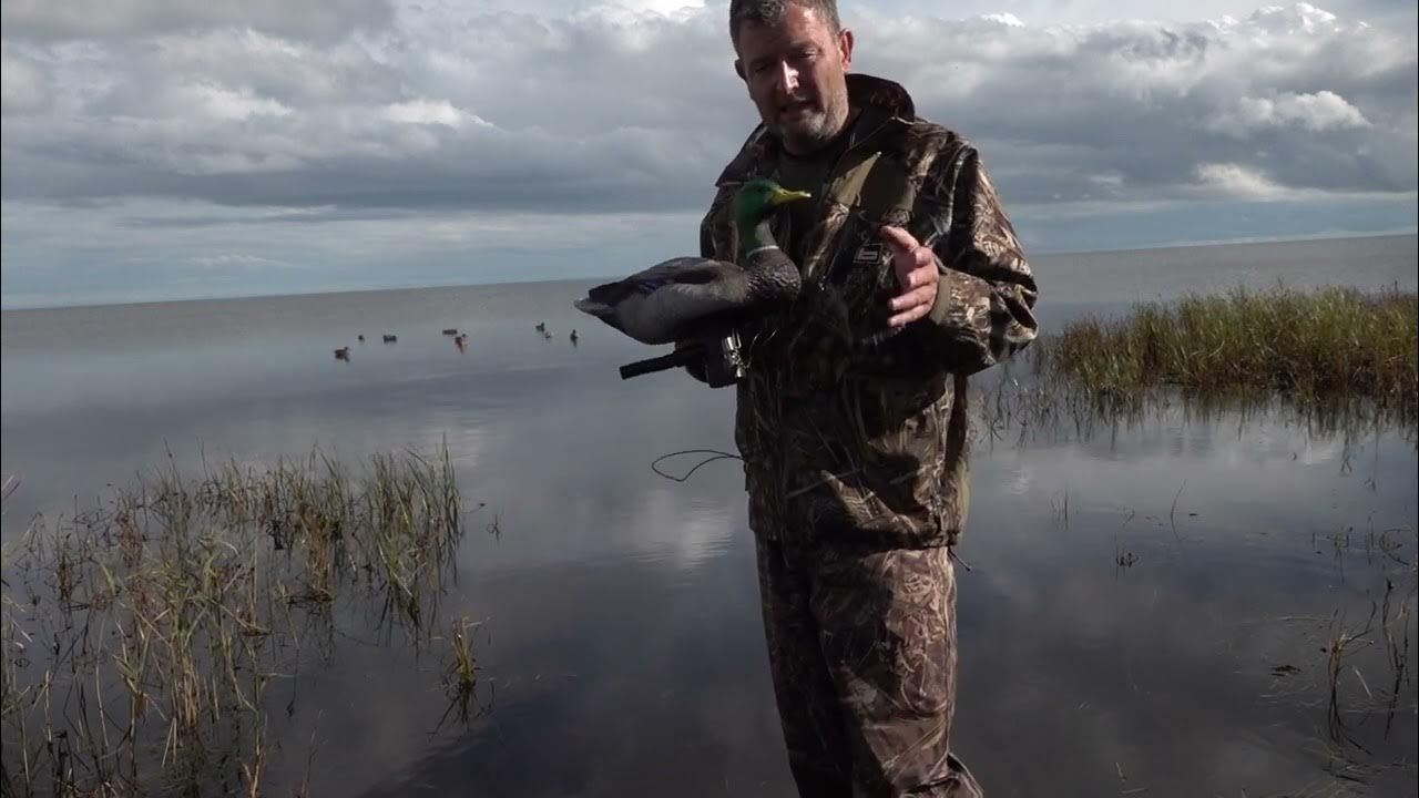 Lucky Duck super swimmer bevægelige lokkeand YouTube