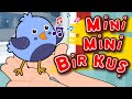 Mini Mini Bir Kuş müzikle eğitici video 🐤