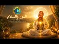نور الداخل    