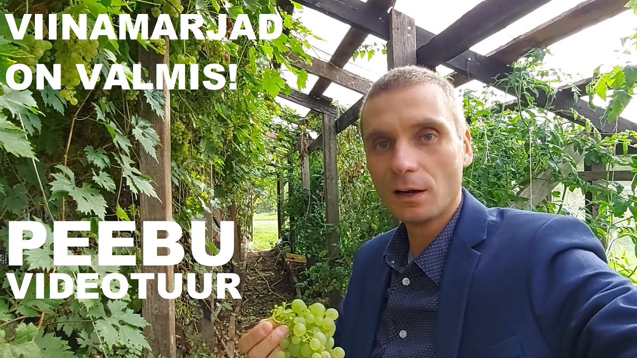 KAS SA JULGED NII VINGET MAJAPIDAMIST OSTA? TALUKOHT VILJANDIMAAL, TARVASTU VALLAS. Mario Karro.