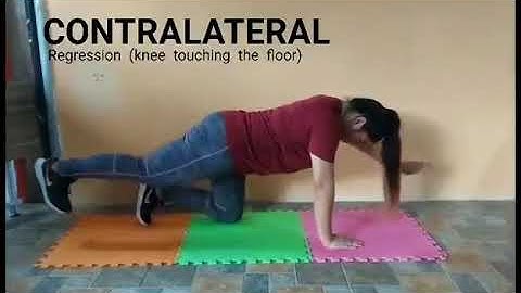 Demonstration Video   Bird Dog Series  Movement Enhancement CONTRALATERAL REGRESSION