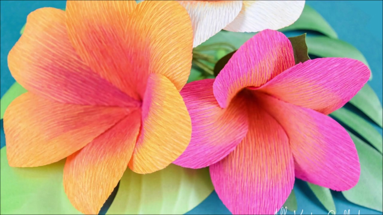 diy crepe paper plumeria flower tutorial plumeria paper flower