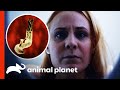 Woman Finds Weird Creatures In Her Urine Monsters Inside Me Woman Finds Weird Creatures In Her Urine Monsters Inside Me