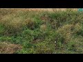 land available for sale at tirupur smart City