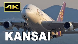 [4K] Sunset Plane Spotting at Osaka Kansai Airport [KIX/RJBB] / 関西国際空港 A380 JAL