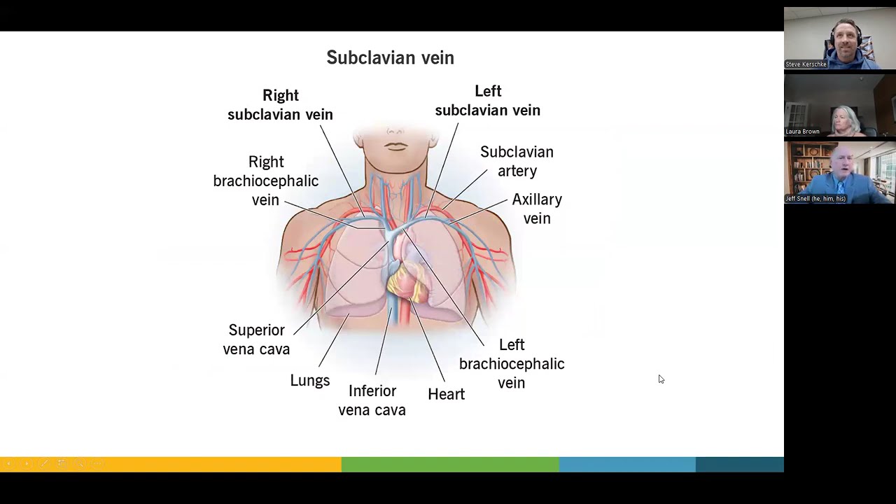 The Glymphatic System and the Importance of Sleep