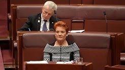 Pauline Hanson: 'Gutless' politicians blocked All Lives Matter motion