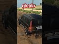 kala ghoda jinda bad h 😈😈😈