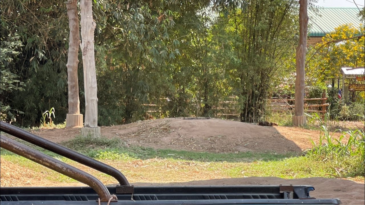 ผู้บ่าวหาย⁉️