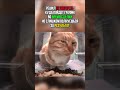 Когда пытаешься не париться, но всё равно паришься