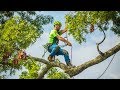 International Tree Climbing Championships 2019