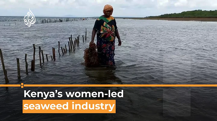Women in Kenya improving their livelihoods through...