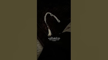 سورة الزمر#بصوت سلمان المطيري