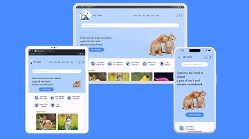 Responsive Design in Flutter || Flutter Web App || Pet Shop