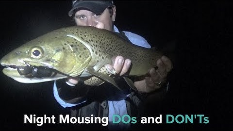 Trout: Dos and Dont