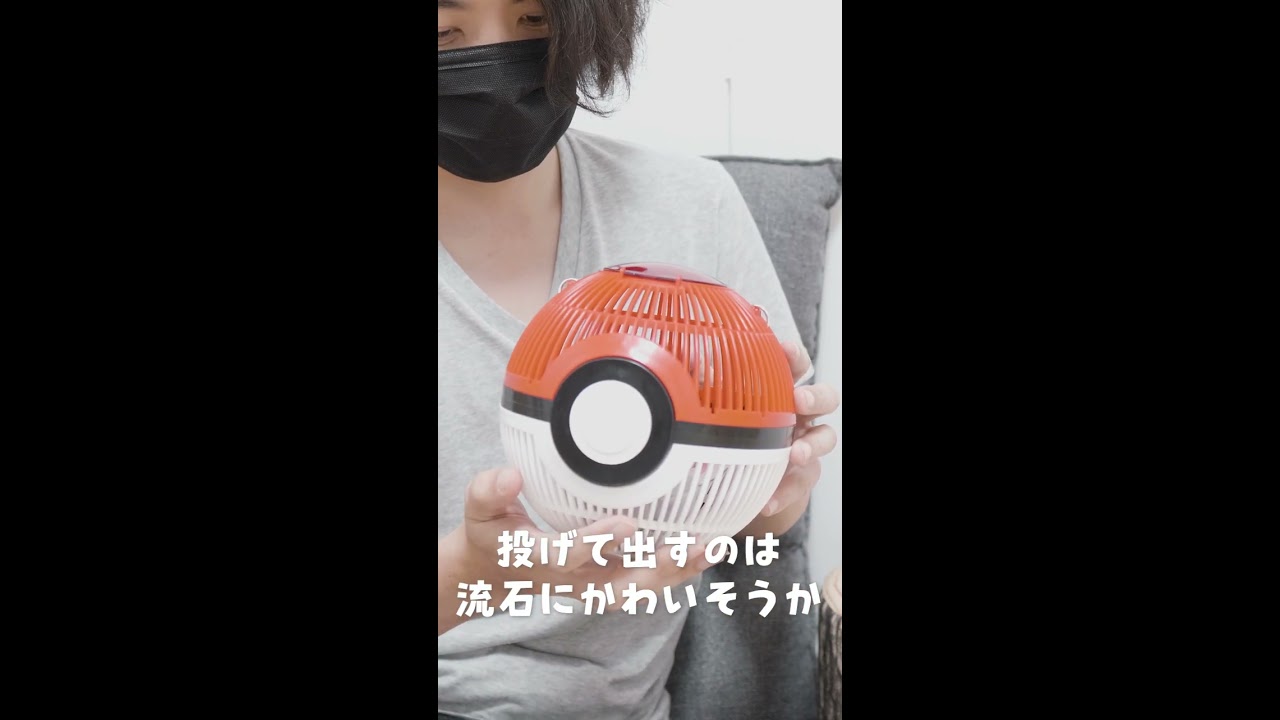 チンチラポケモン #Shorts - YouTube
