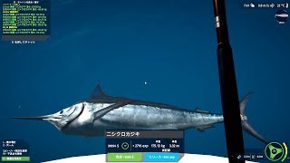 カジキマグロ UFS】ニシクロカジキ / 175.13kg：Makaira mazara 386lb - YouTube