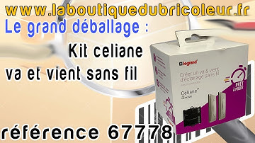 contenu pack netatmo pret a poser inter va et vient celiane en finition  titane reference 67778