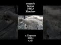 █ ЭкоПарк Харьков ч.65 / Белая ОВЕЧКА / 2018 г.  #shorts