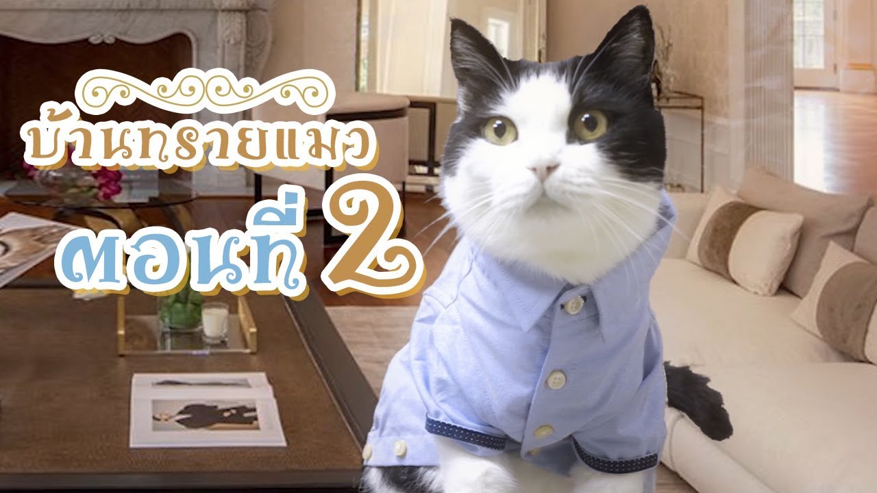 นิทาน - บ้านทรายแมว Ep.2