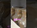 Oil Mill Making Machine Cold press Oil Machine #smallindustries #machine #business