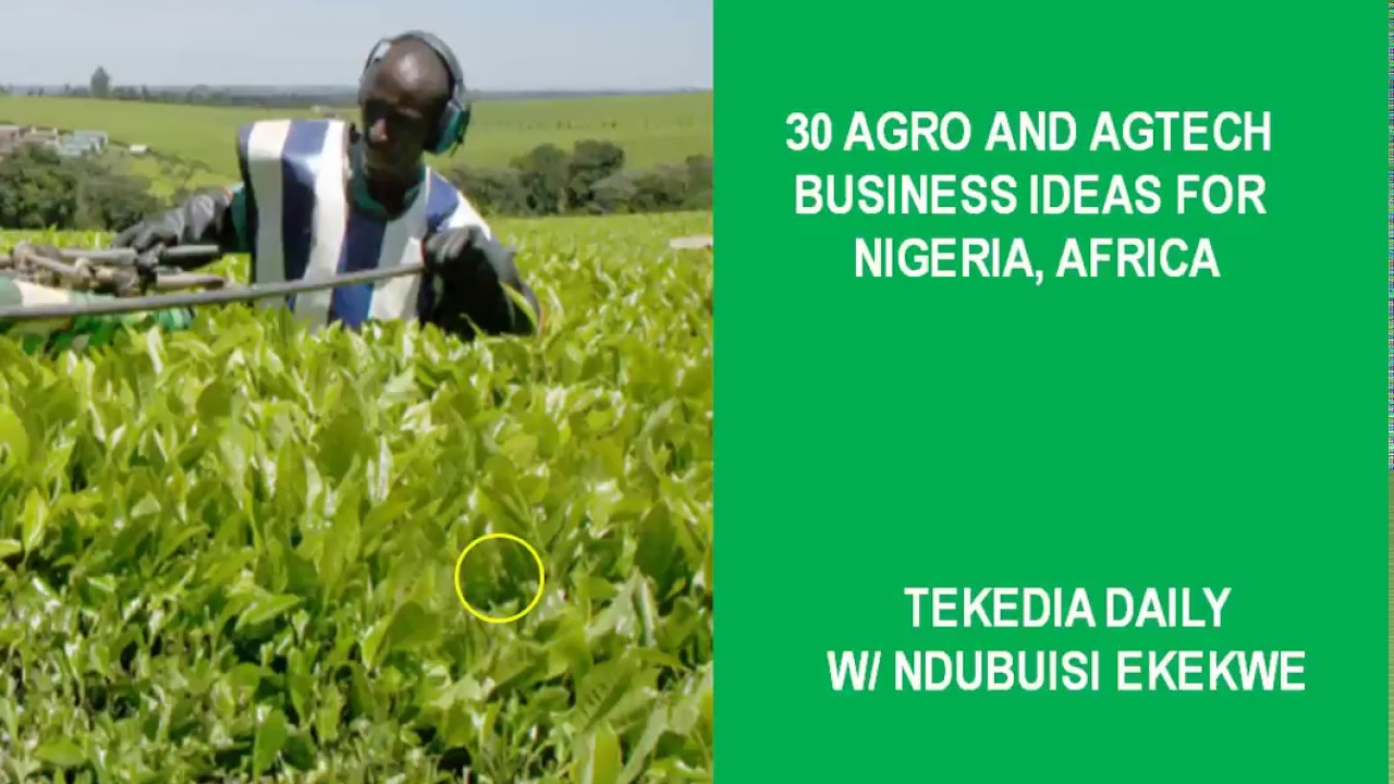 Agro and AgTech Business Ideas in Nigeria, Africa