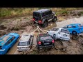 RC Cars vs Model Cars