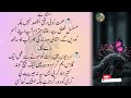 best quotes |Quotes About life | Rumi Quotes in Urdu | Golden Words | Hazrat Ali