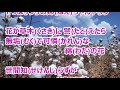 綿の花/石川さゆり カラオケ(♯3)