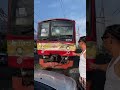 berita viral