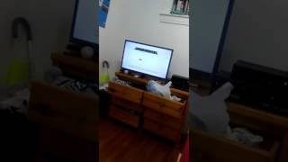 Schinders Bakerynickleodon