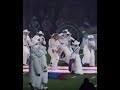 Beyoncé Does The Buckin Challenge At NFL Halftime Show #beyonce #beyoncé #cowboycarter #halftimeshow