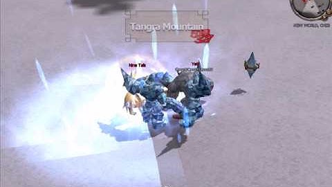 Metin2 US RAFA vs 9Tails