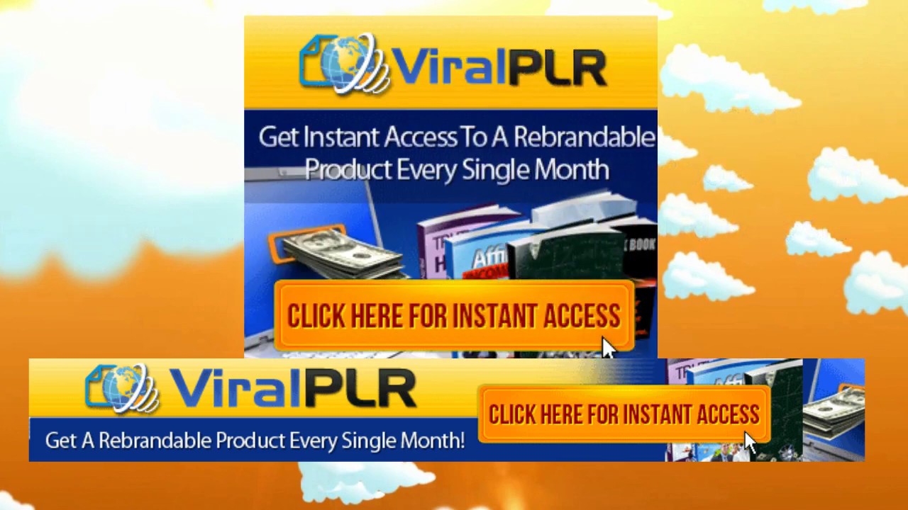 How Much is ViralPLR?