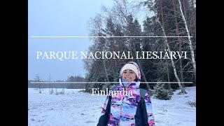 Senderismo por el Parque Nacional Liesjärvi | Finlandia 🇫🇮