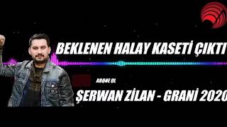 Şervan Zilan 2020 Halaylar