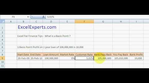 ExcelExperts.com - Excel For Finance Tips What is a Basis Point ?