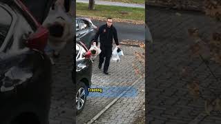 Toddler's Driveway Protest! 😅