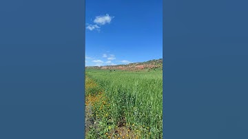 تأمل خاشع في الطبيعة مع تلاوة مؤثرة لسورة الضحى #nature #quran #travel #morocco #islam