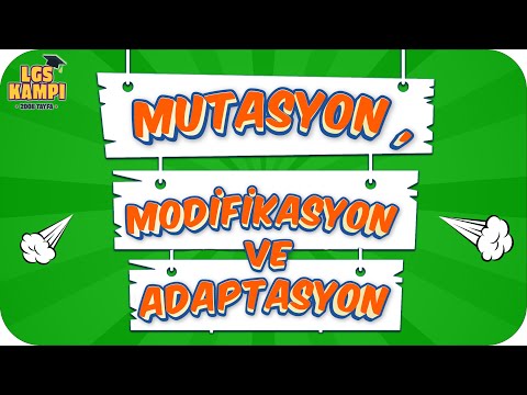 Mutasyon, Modifikasyon, Adaptasyon | LGS Fen #2022