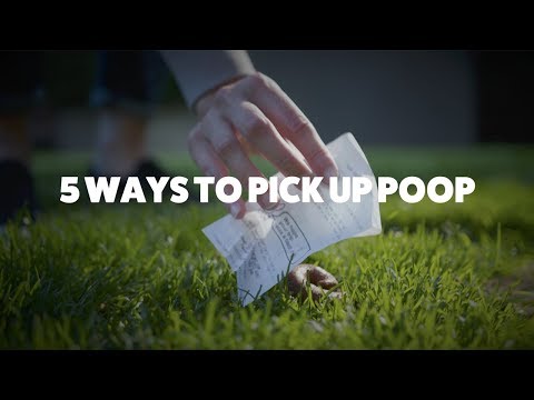 5 Ways to Pick up Dog Poop | Rover.com