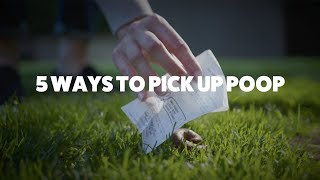 5 Ways to Pick up Dog Poop | Rover.com screenshot 5