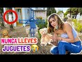 🪦NUNCA LLEVES JUGUETES AL CEMENTERIO😣 ¡Se llevaron a mi gato! 😭 |Jaque Argaes