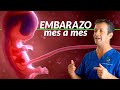 Embarazo mes a mes [Fecundación y desarrollo de embrión a feto, y a bebé]